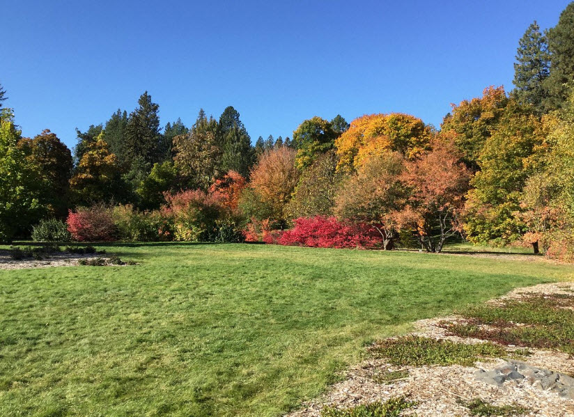 John A. Finch Arboretum, United States